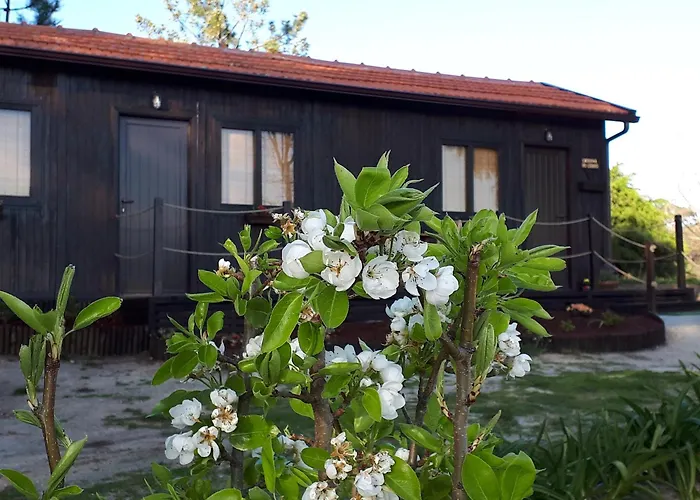Casinha Do Cedro