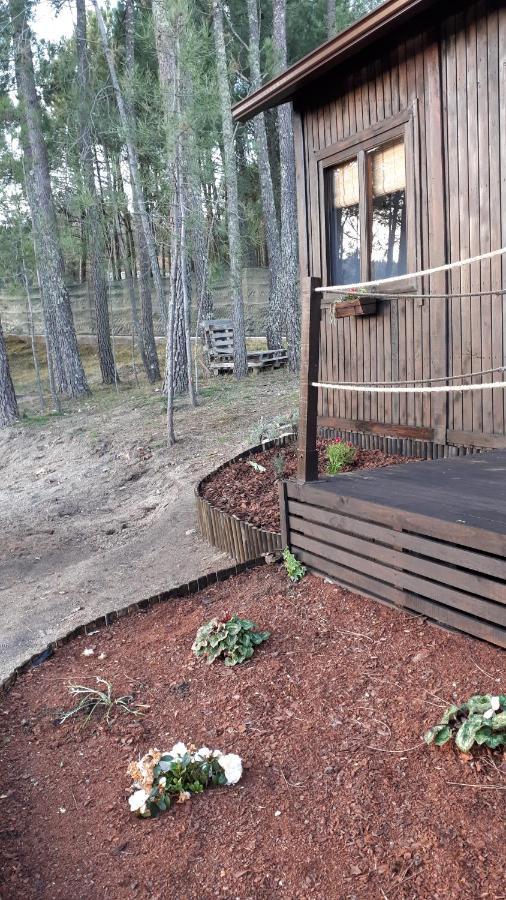 Chalet Casinha Do Cedro Baiao